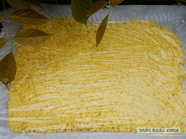 Фастфуд-пикник на день рождения ЯПа