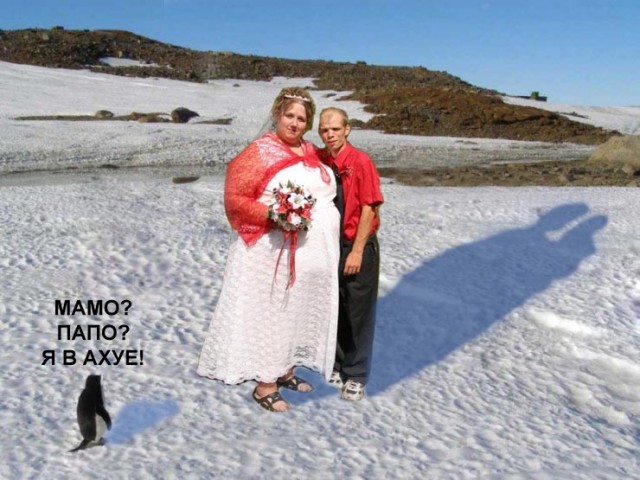 Фотожаба: Полярники окружают!