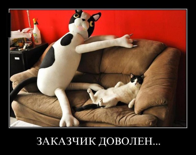 Прикольные животные