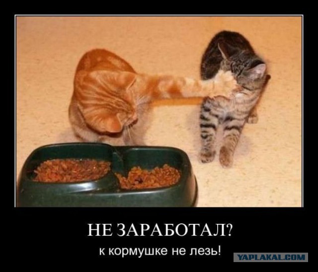 Россия – всего лишь кормушка для олигархов
