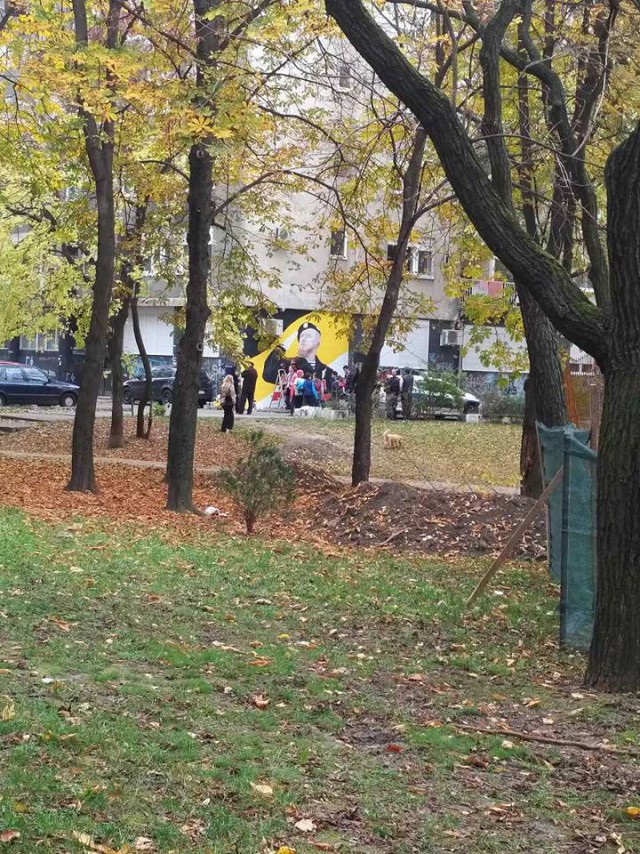 В Белграде появилась стена Моторолы