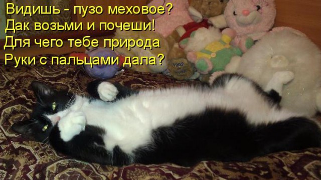 Они что, издеваются?