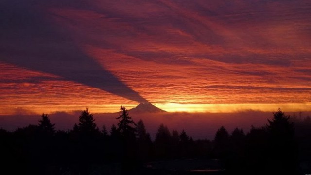 Моменты, запечатлённые на фото и просто позитив 5
