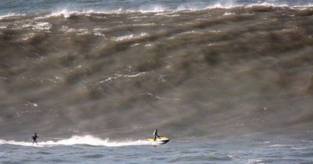 Подборка безудержного веселья