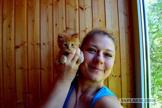 Джокер и его семья