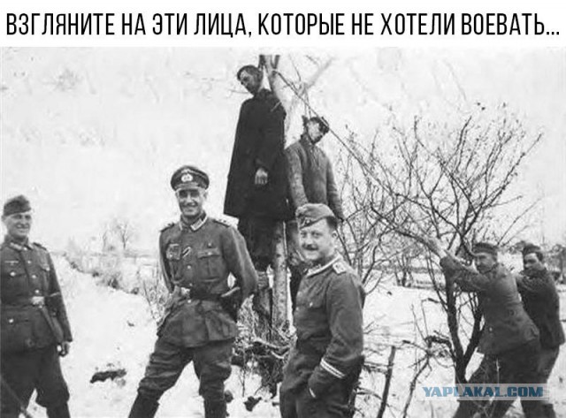 О чем рассказали девочки в Бундестаге?
