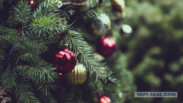 Скорая новогодняя помощь