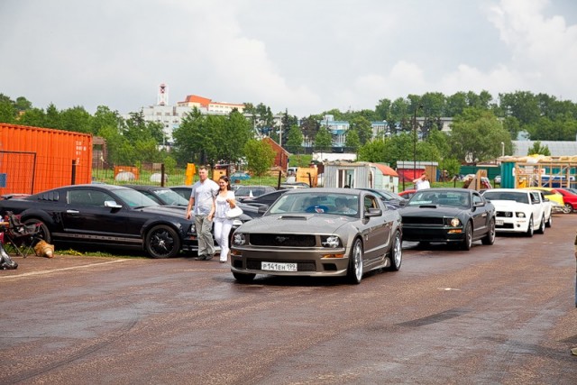 ДР mustang club