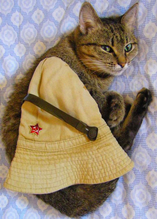 Возвращайся, панама!