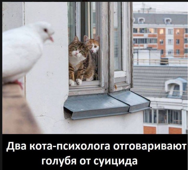 Немного картинок на сегодня