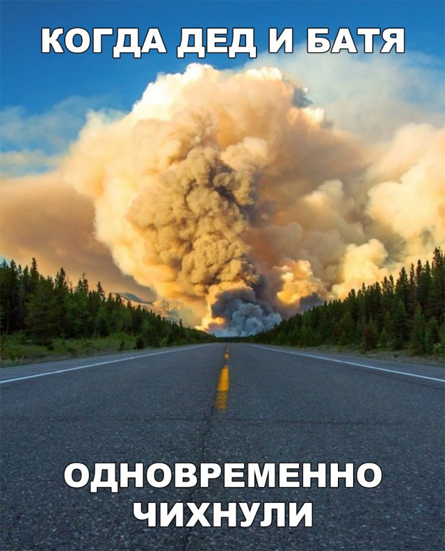 Прикольные картинки абавсём