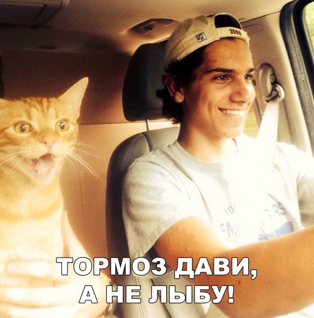 Нестандартный юмор