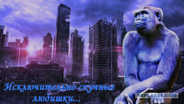 Специфический юмор