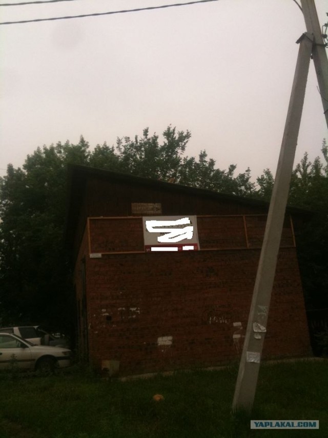 Котовторник 10. 07. 2012