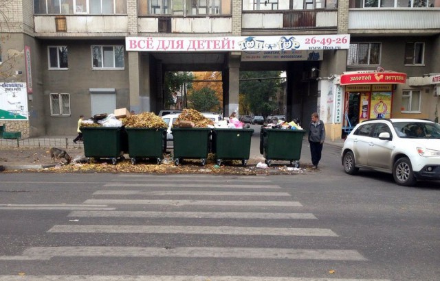 И всё-таки она наша. Лента картинок