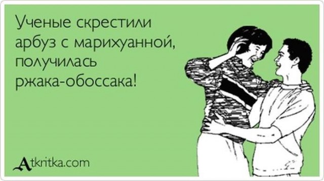 Анекдоты, соц-сети и картинки с надписями