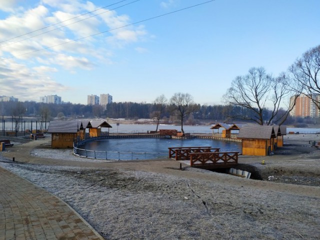 Свиньи в парке в Новой Москве