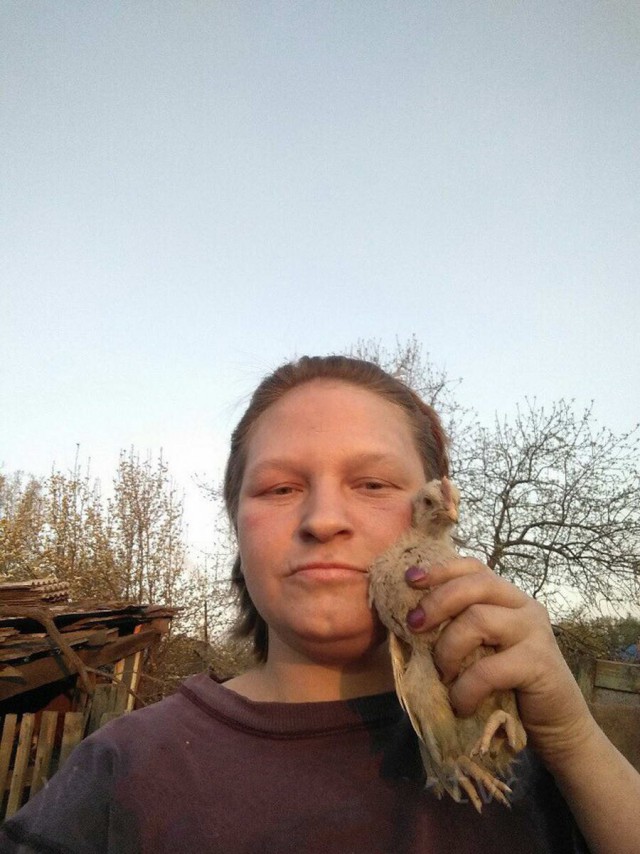 Скотсети и прочие интернеты 25.06.19