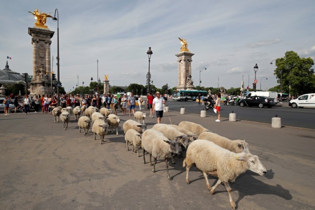 Подборка интересных и веселых картинок 20.07.19