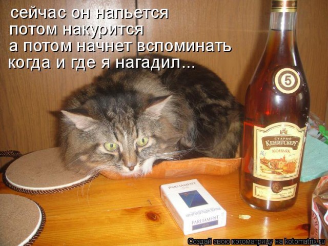 Алкоты