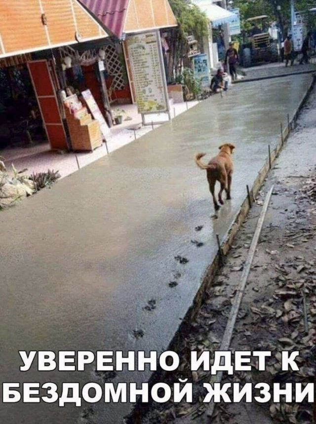 Забавные и познавательные фотографии, поднимающие настроение
