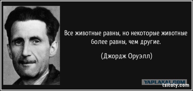 Ежи кололись, но продолжали...