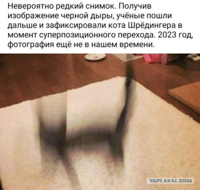 Бредзона 19.03.2020