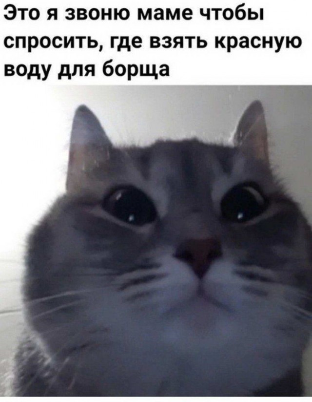 Бредзона 15.05.20