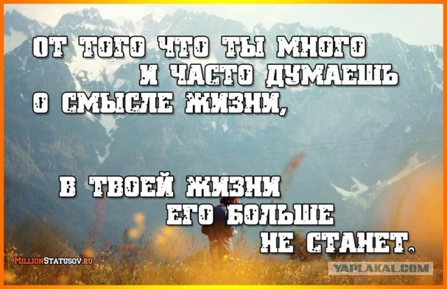 Есть всё, кроме смысла жизни