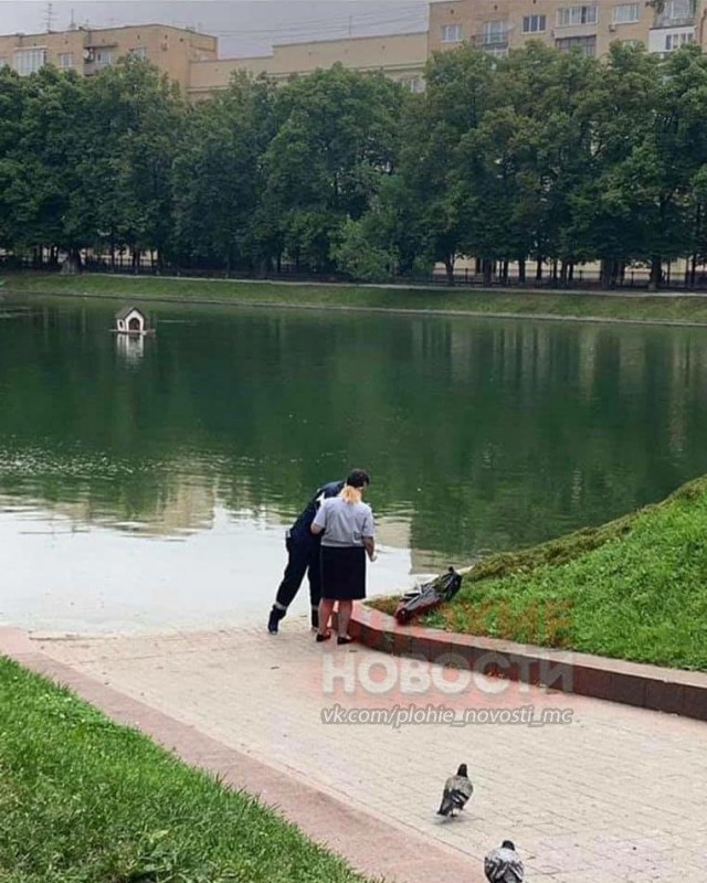 То чувство, когда в пятницу видел лебедя живым...