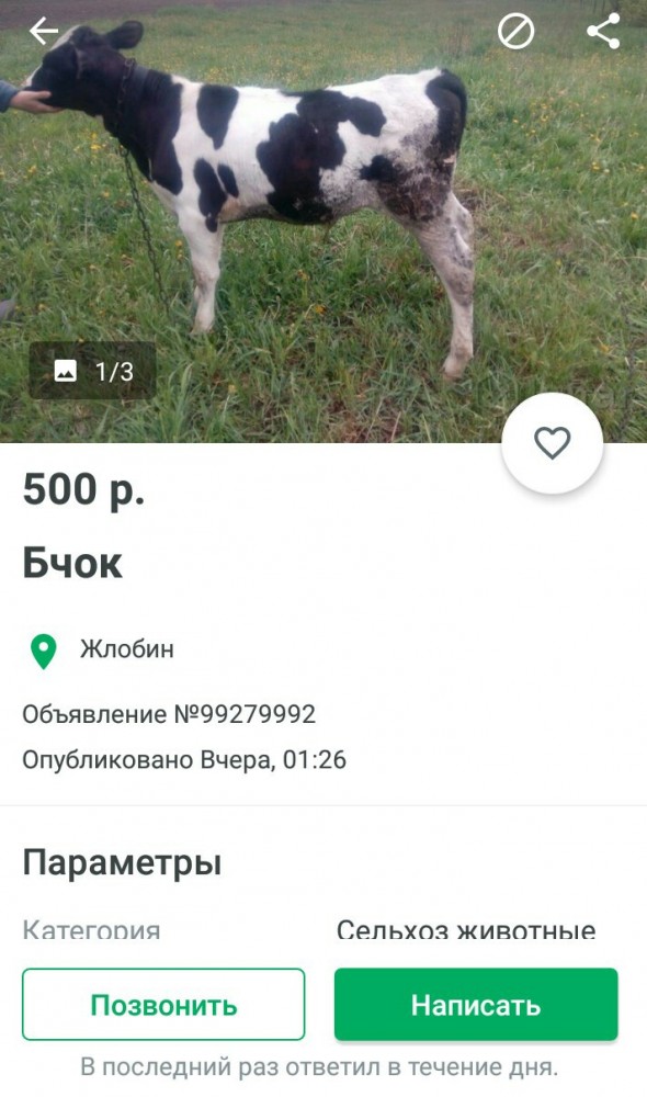 Самое время кусать за бочок!