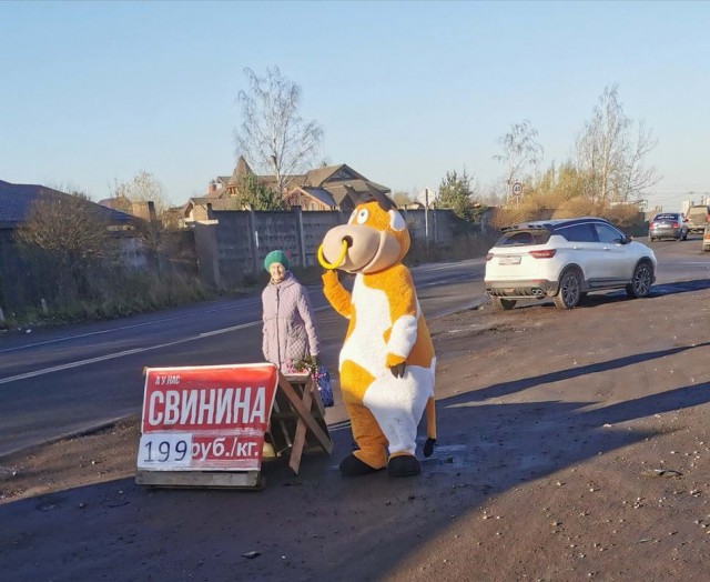 Хороший дизайнер на вес золота