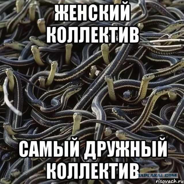 Кондуктор-стюардесса, которой устраивали травлю коллеги, написала заявление на увольнение.