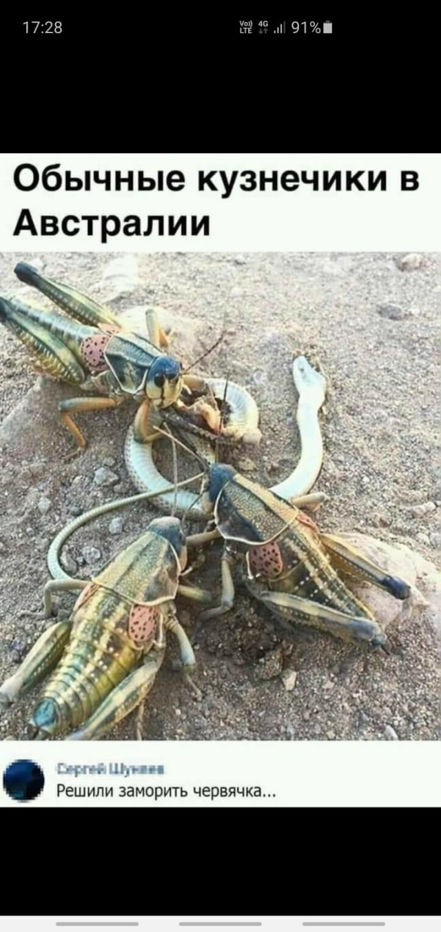 Немного картинок с надписями и без - 28.02.21