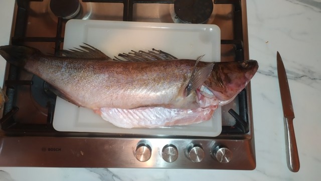 Жизнь и пивоварение