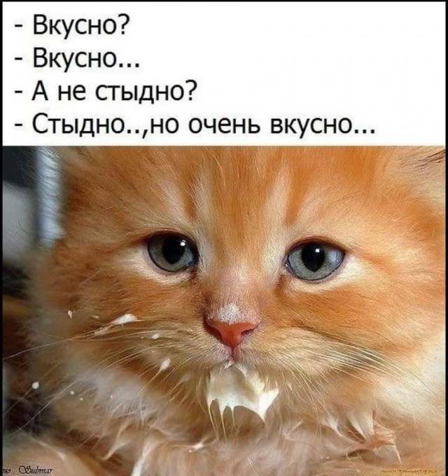 Всяческие картинки 16.06.2021