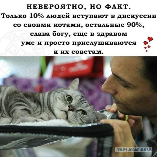 Бредзона 21.06.21