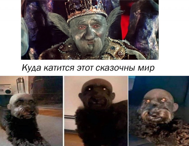 Всяческие картинки 19.07.2021