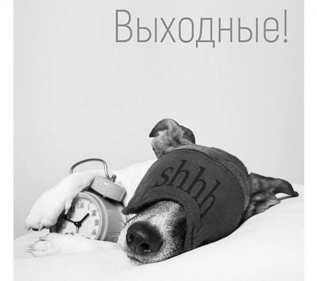 Так себе картинки 13.08.21