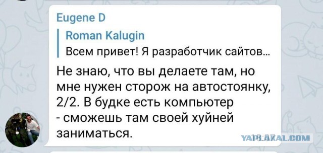Изучаем Python в 40+
