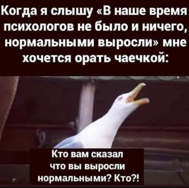 Баянисто-небаянистый юмор 2.02.22