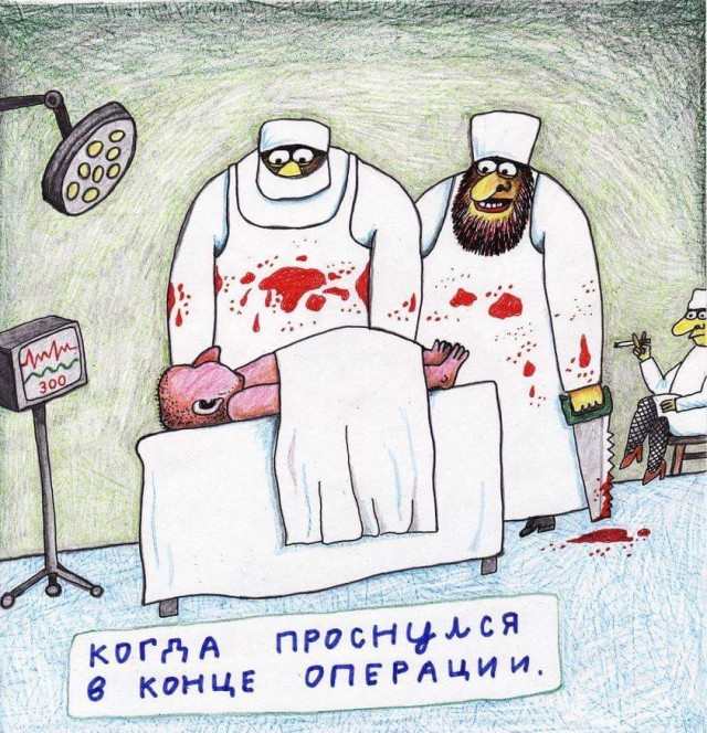 Всяческие картинки 31.01.2022