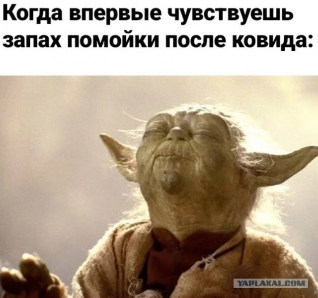 ПятничнаяХня, для деградантов