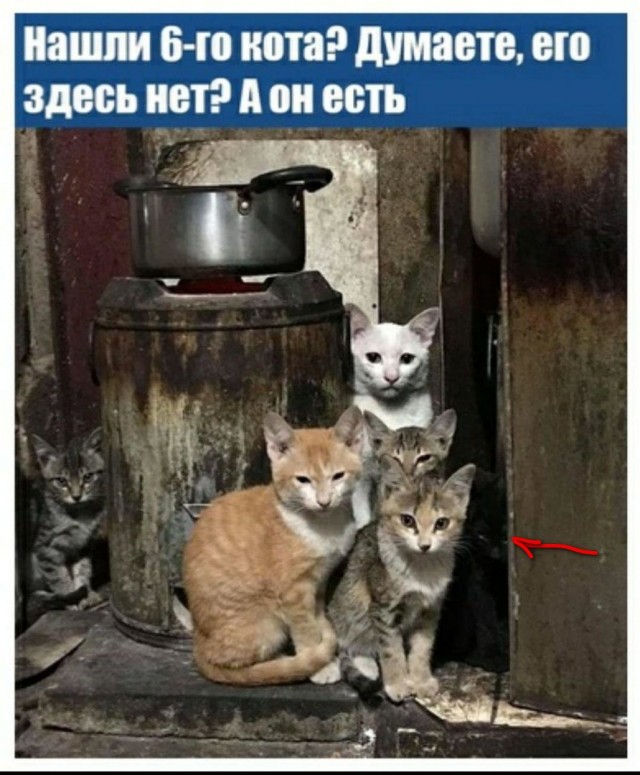Просто картинки для настроения