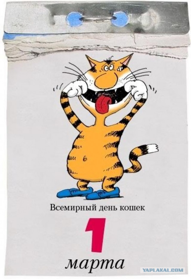 Господа и дамы ЯПа! Котовторник у нас начался! Отойдите от политоты и давайте котиков побольше!