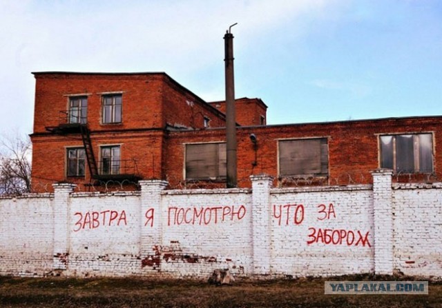 Мемы разные нужны, мемы разные важны!