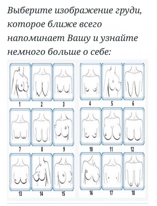 Без названия