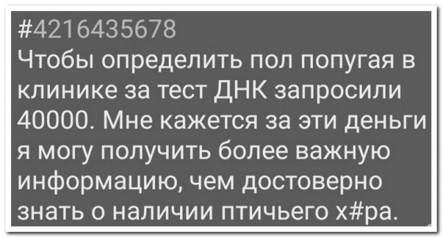 Забавные комментарии из социальных сетей (13.06.22)