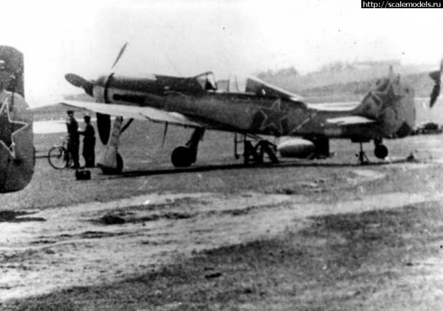 Длиноносая Дора. FW-190D9.