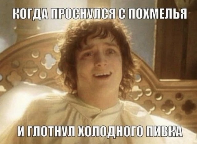 Весёлый полтишок 10.11.22